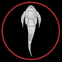 Bothriolepis button by Paleozoo