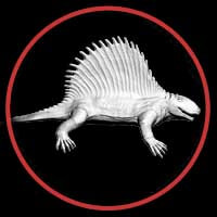 Dimetrodon button by Paleozoo
