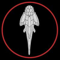 Groenlandaspis button by Paleozoo