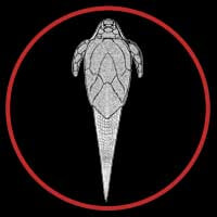 Remigolepis button by Paleozoo