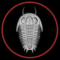 Trilobite button by Paleozoo