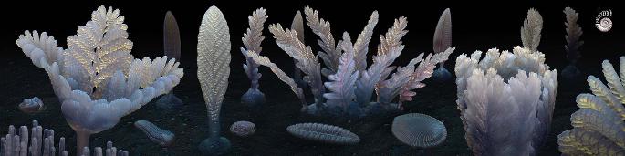 Ediacaran rangeomorphs by Paleozoo