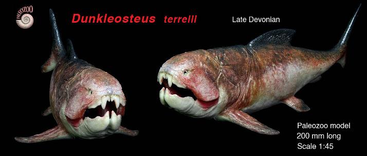 Dunkleosteus model anterior from Paleozoo by Bruce Currie