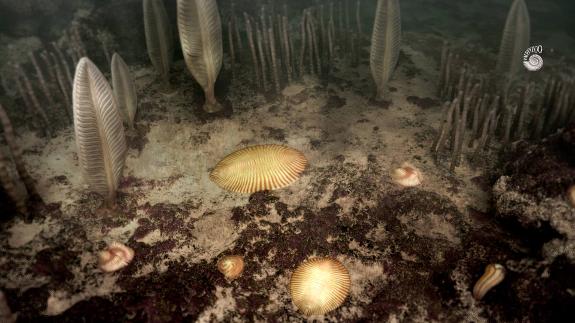 Ediacaran Garden image by Paleozoo