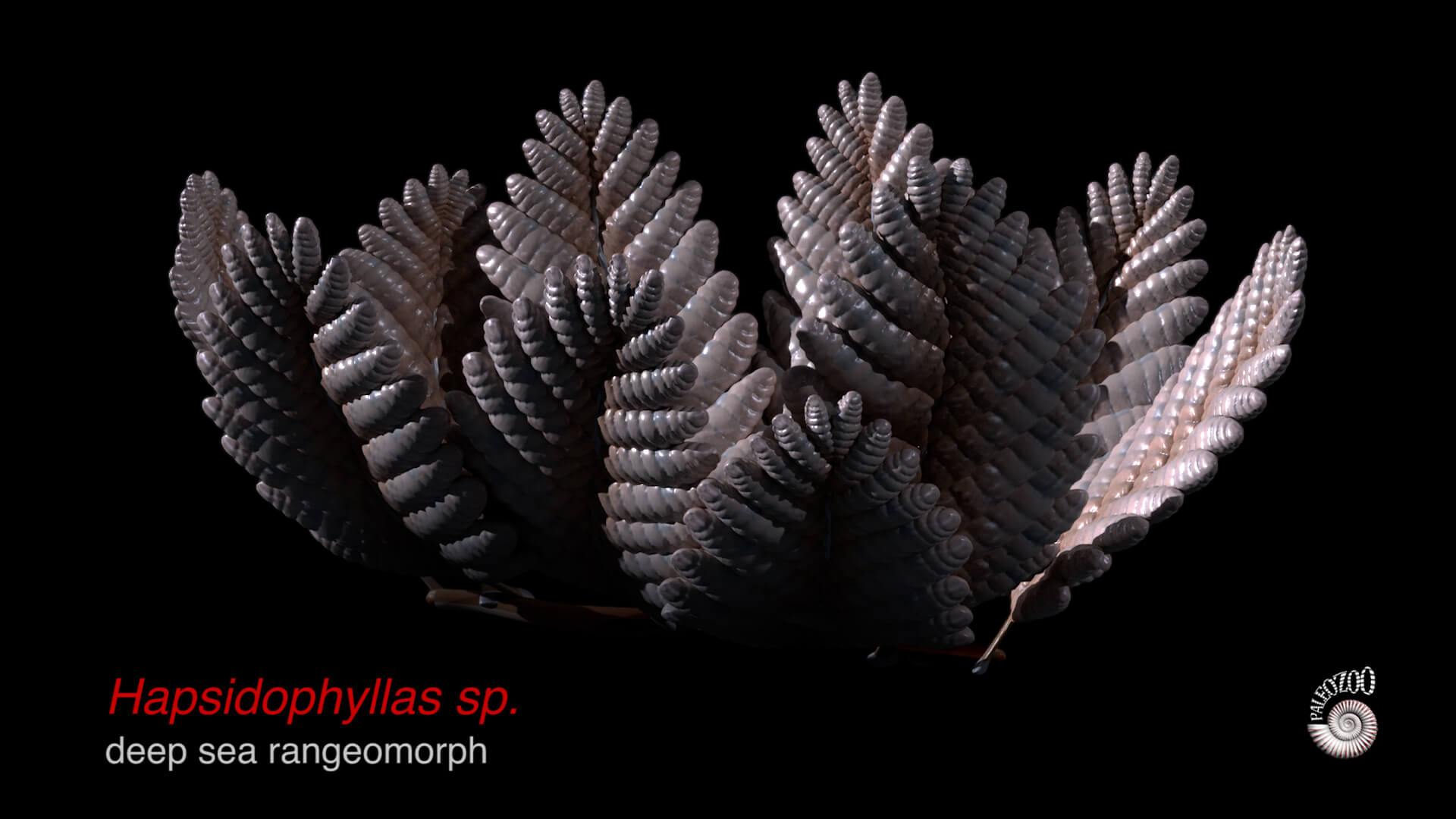 Ediacaran rangeomorph model by Paleozoo - Bruce Currie