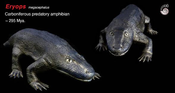 Eryops amphibian predator model from Paleozoo