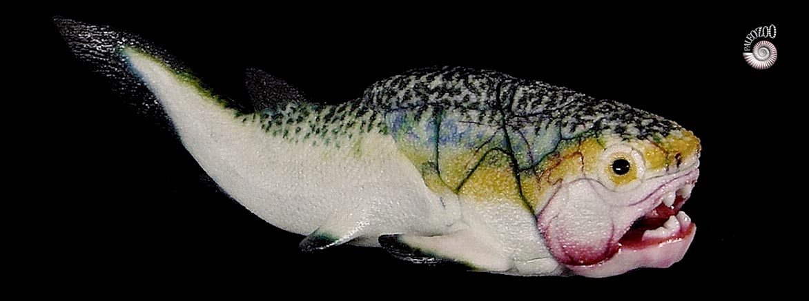 Gog Fish Mcnamaraspis lateral view from Paleozoo Evolutionary Models by Bruce Currie