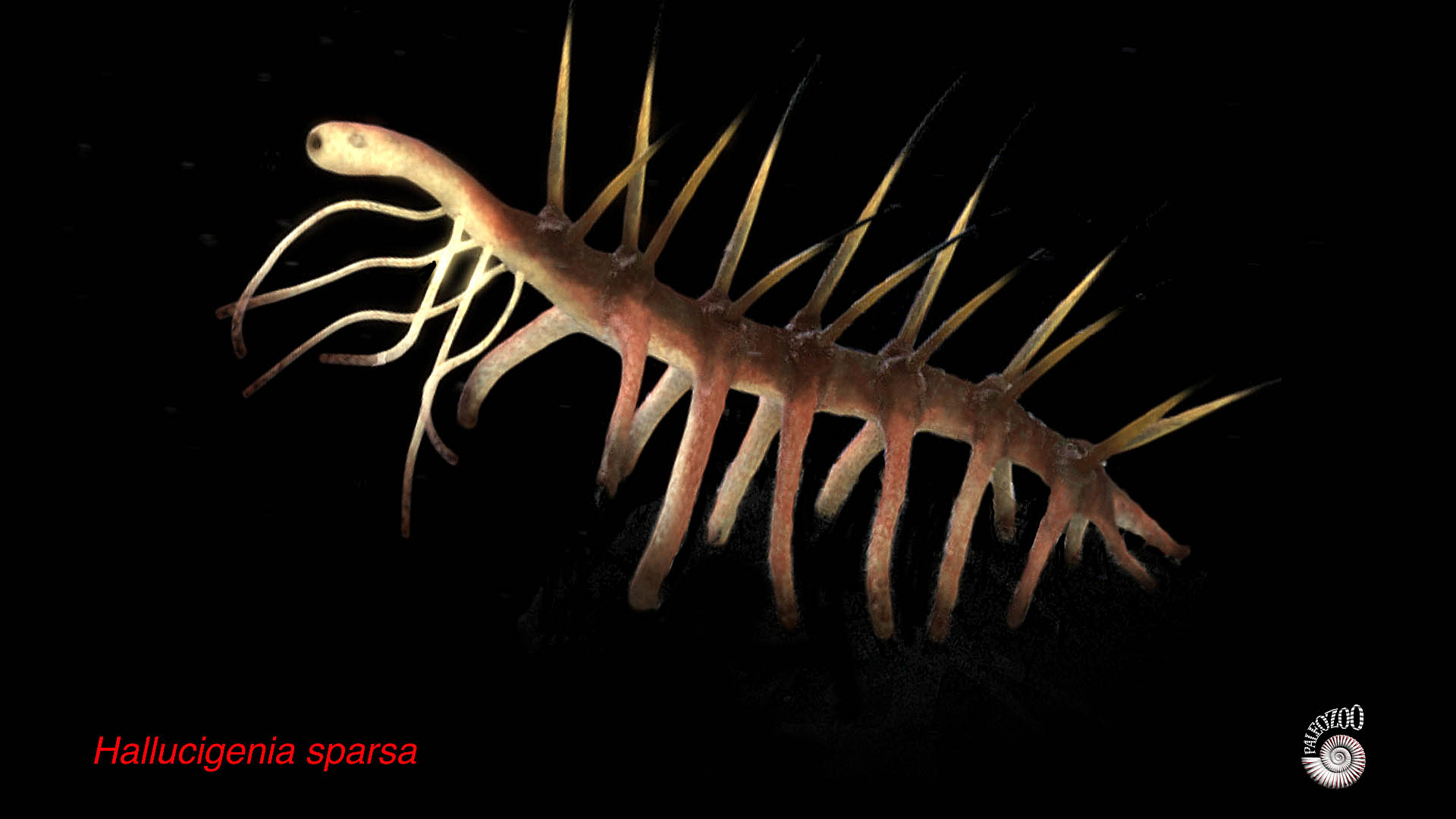 Hallucigenia sparsa model from Paleozoo Evolutinary Models created by paleoartist Bruce Currie