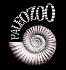 Paleozoo logo by Bruce Currie