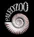 Paleozoo logo by Bruce Currie