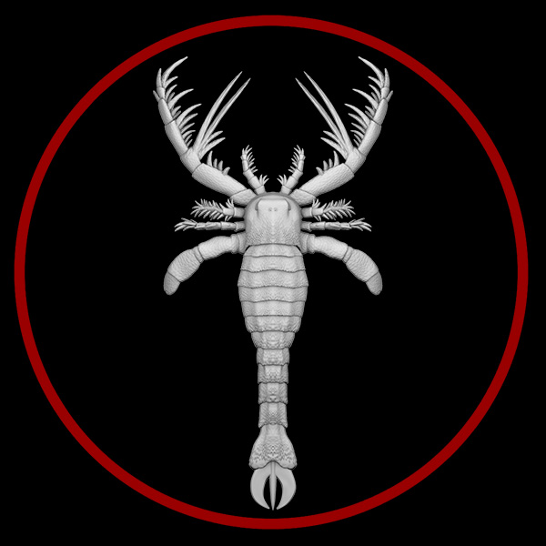 Megalograptus model from Paleozoo