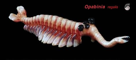 Opabinia model from Paleozoo by Bruce Currie