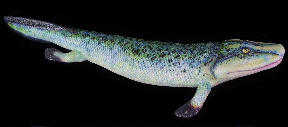 Tiktaalik rosaea model from Paleozoo Evolutionary Models by Bruce Currie.